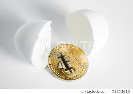The concept of the emergence or discovery of Bitcoin. Coin on a white background with an egg chopped shell. 78853610