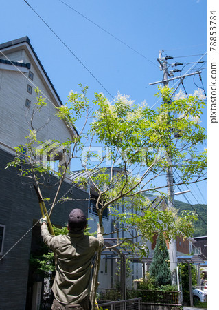 Garden care Residential area exterior 78853784
