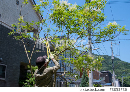 Garden care Residential area exterior 78853786