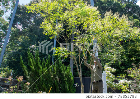 花園護理 住宅區外觀 78853788