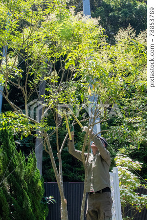 Garden care Residential area exterior 78853789