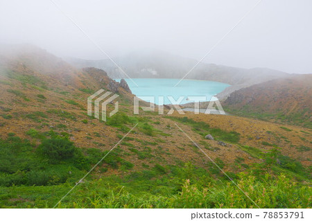 群馬縣草津白根山的湯伽馬 群馬縣草津白根山的湯伽馬 78853791