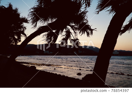 Evening view of Qingdao where the sea shines golden 78854397