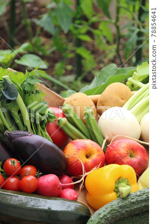 A basket full of summer vegetables (vertical) A basket full of summer vegetables (vertical) 78854641