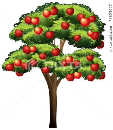Apple tree isolated on white background - Stock Illustration [78855007 ...