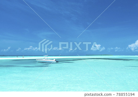 馬爾代夫翡翠綠海與船(側) 馬爾代夫翡翠綠海與船(側) 78855194