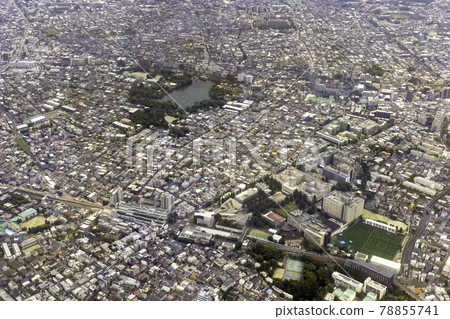東急大岡山站附近鳥瞰圖 東急大岡山站附近鳥瞰圖 78855741