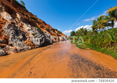 Fairy Stream Suoi Tien, Vietnam 78856420