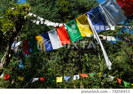 Buddhist prayer flags lunga in McLeod Ganj, Himachal Pradesh, India 78856453