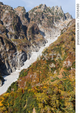 Mt. Tsurugi Sannosawa Snow Valley and Autumn Leaves Mt. Tsurugi Sannosawa Snow Valley and Autumn Leaves 78856480