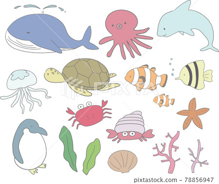 海生物設置 78856947