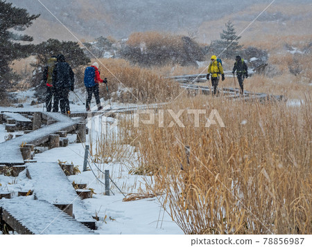 Climbers walking along the wooden path of Amagaike in Kuju in the deep snow in winter Climbers walking along the wooden path of Amagaike in Kuju in the deep snow in winter 78856987