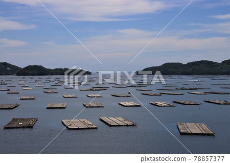 Oyster raft in Mushimei Bay, Setouchi City 78857377
