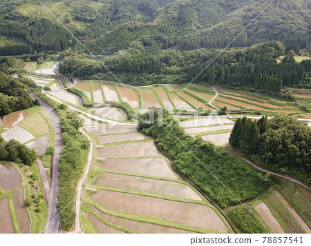 Rural landscape 78857541