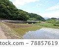 Paddy fields and stone bridges 78857619