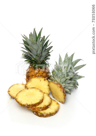 Pineapple Pineapple 78858066