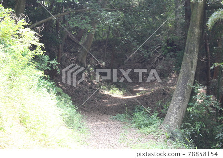 Fuyama castle ruins 78858154