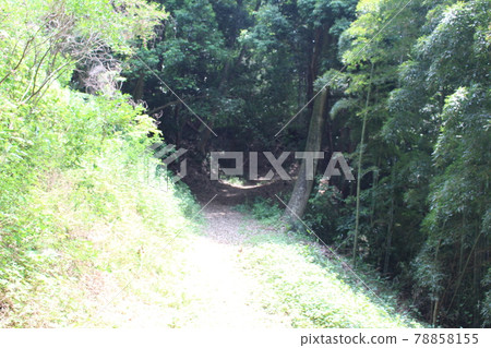 Fuyama castle ruins Fuyama castle ruins 78858155