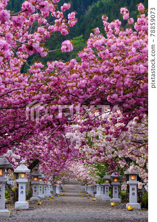 前往伊賀古神社的方法 78859073