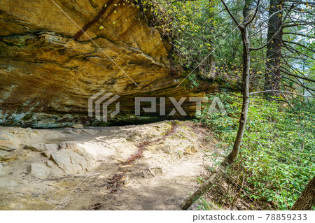 Red River Gorge rock formations Red River Gorge rock formations 78859233