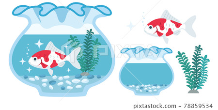 金魚（日本金魚）和魚缸的插圖素材 78859534