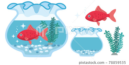 金魚（日本金魚）和魚缸的插圖素材 78859535