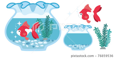 金魚（琉金）和魚缸的插圖素材 78859536