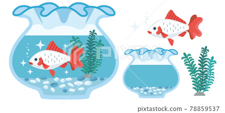 金魚（小霸王）和魚缸的插畫素材 78859537