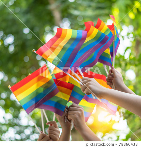 LGBT pride or LGBTQ+ gay pride with rainbow flag for lesbian, gay, bisexual, and transgender people human rights social equality movements in June month 78860438