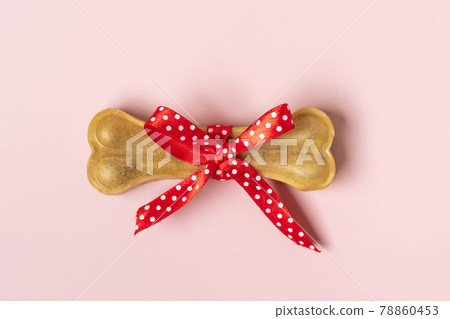 bone for dogs with red bow isolated on pink background Top view Flat lay Delicious treat for your beloved pet Food for animals concept bone for dogs with red bow isolated on pink background Top view Flat lay Delicious treat for your beloved pet Food for animals concept 78860453