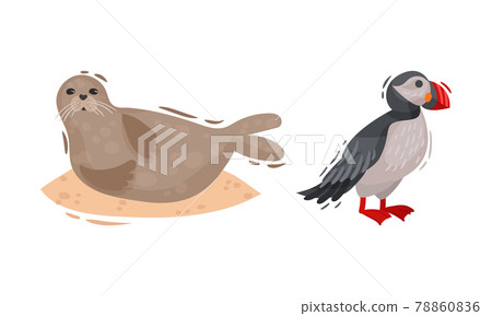 Iceland Symbols with Atlantic Puffin and Sea Calf Vector Set 78860836