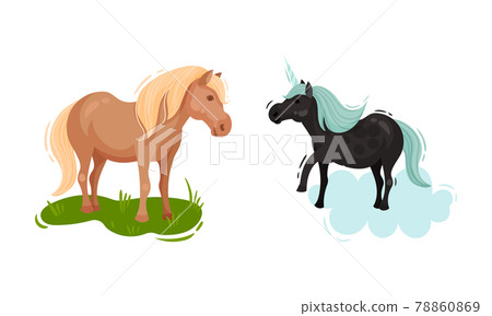 Iceland Symbols with Horse Grazing and Unicorn Vector Set 78860869