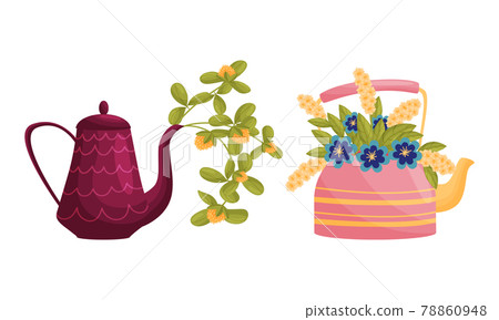 Teapot with Lid and Spout with Blooming Flowers Peeped Out Vector Set 78860948