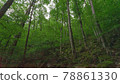 宇多和森林 78861330