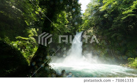 飛躍的淨土瀑布 78861333