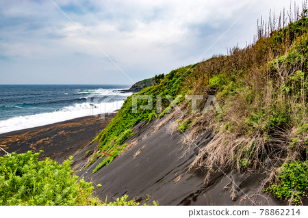 Scenery of the sandy beach of the long black sand beach in Oshima-cho, Tokyo Scenery of the sandy beach of the long black sand beach in Oshima-cho, Tokyo 78862214