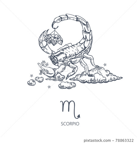 Scorpio zodiac sign. Scorpio among the clouds. Basket of flowers. 78863322