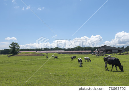 [Koiwai Farm] Shizukuishi Town, Iwate Prefecture, spacious blue sky and Koiwai Farm 78863702