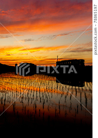 Magic hour and local lines Magic hour and local lines 78865197