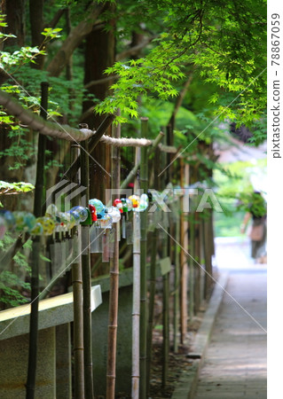 Cool tone on the approach to Yusanji / Wind chime festival Cool tone on the approach to Yusanji / Wind chime festival 78867059