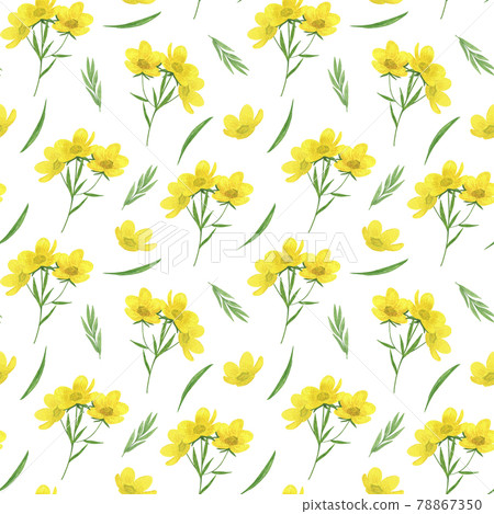 Yellow buttercups, wild flowers seamless pattern watercolor illustration, summer meadow repeat ornament, forest plants, delicate floral elements for greeting cards, invitations, home decor ideas Yellow buttercups, wild flowers seamless pattern watercolor illustration, summer meadow repeat ornament, forest plants, delicate floral elements for greeting cards, invitations, home decor ideas 78867350