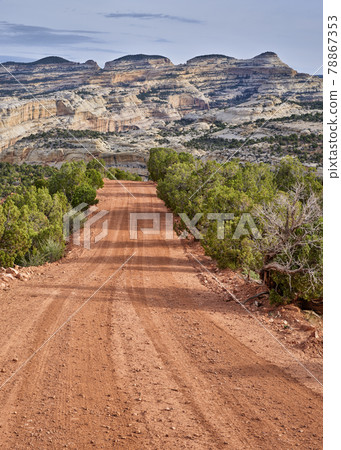 dirt backcountry road in the Dinosaur National Monument, CO dirt backcountry road in the Dinosaur National Monument, CO 78867353