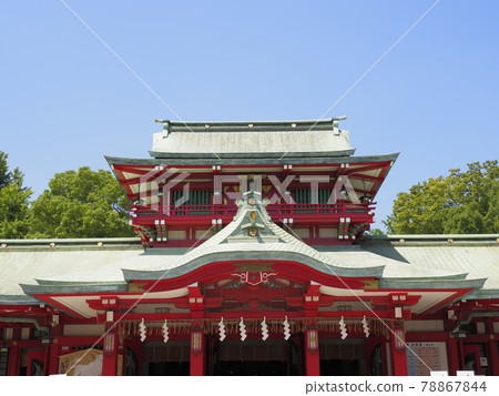 Tomioka Hachimangu Shrine, Koto-ku, Tokyo Tomioka Hachimangu Shrine, Koto-ku, Tokyo 78867844