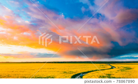 Aerial View Of Car SUV Parked Near Countryside Road In Spring Field Rural Landscape. Flowering Blooming Rapeseed, Oilseed In Field Meadow In Spring Season. Blossom Of Canola Yellow Flowers 78867890
