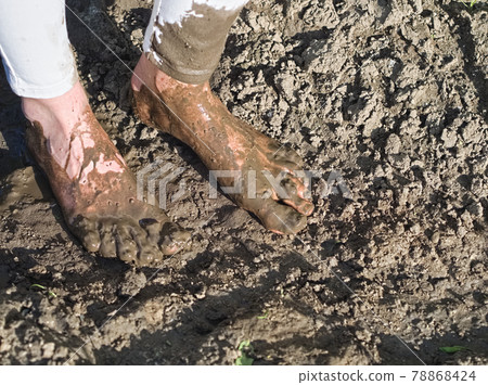 Muddy Feet of a Young Woman Muddy Feet of a Young Woman 78868424