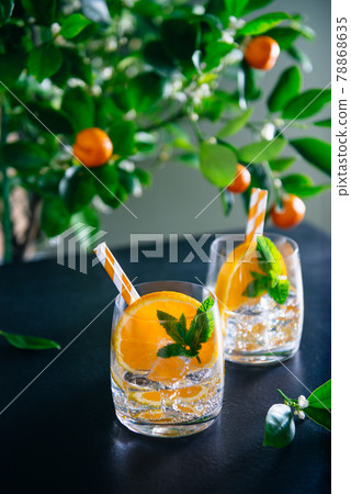Two refreshing fruits cocktails with orange, mint and ice on dark table with a citrus tree background. Summer bar drinks. Vertical card. Selective fiocus, copy space. Two refreshing fruits cocktails with orange, mint and ice on dark table with a citrus tree background. Summer bar drinks. Vertical card. Selective fiocus, copy space. 78868635