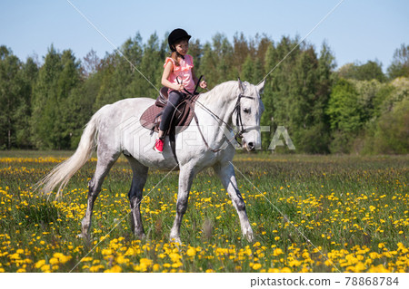 Little girl in pink rides a white horse 78868784