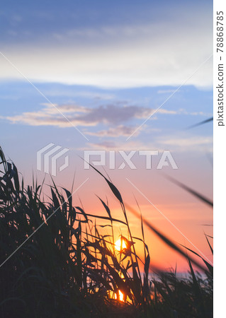 Colorful sunset sky over Gulf of Finland 78868785