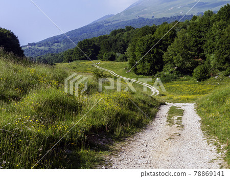 Mountain path at the Due Pozze Mountain path at the Due Pozze 78869141