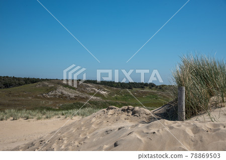Den Helder, the Netherlands, May 30, 2021. Dunes near the seaside of Den Gelder, the Netherlands.  78869503